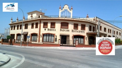 Baena Campiña De Baena butik foto 6353577