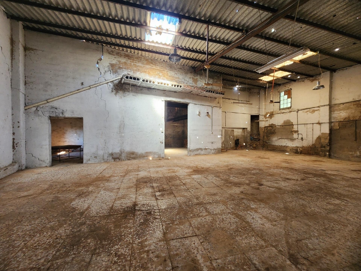 te koop winkel Crevillent Baix Vinalopó 4