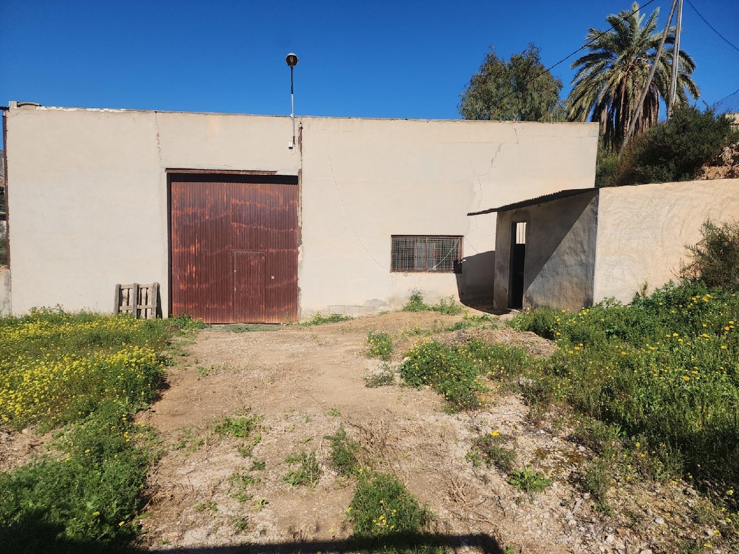 te koop winkel Crevillent Baix Vinalopó 2