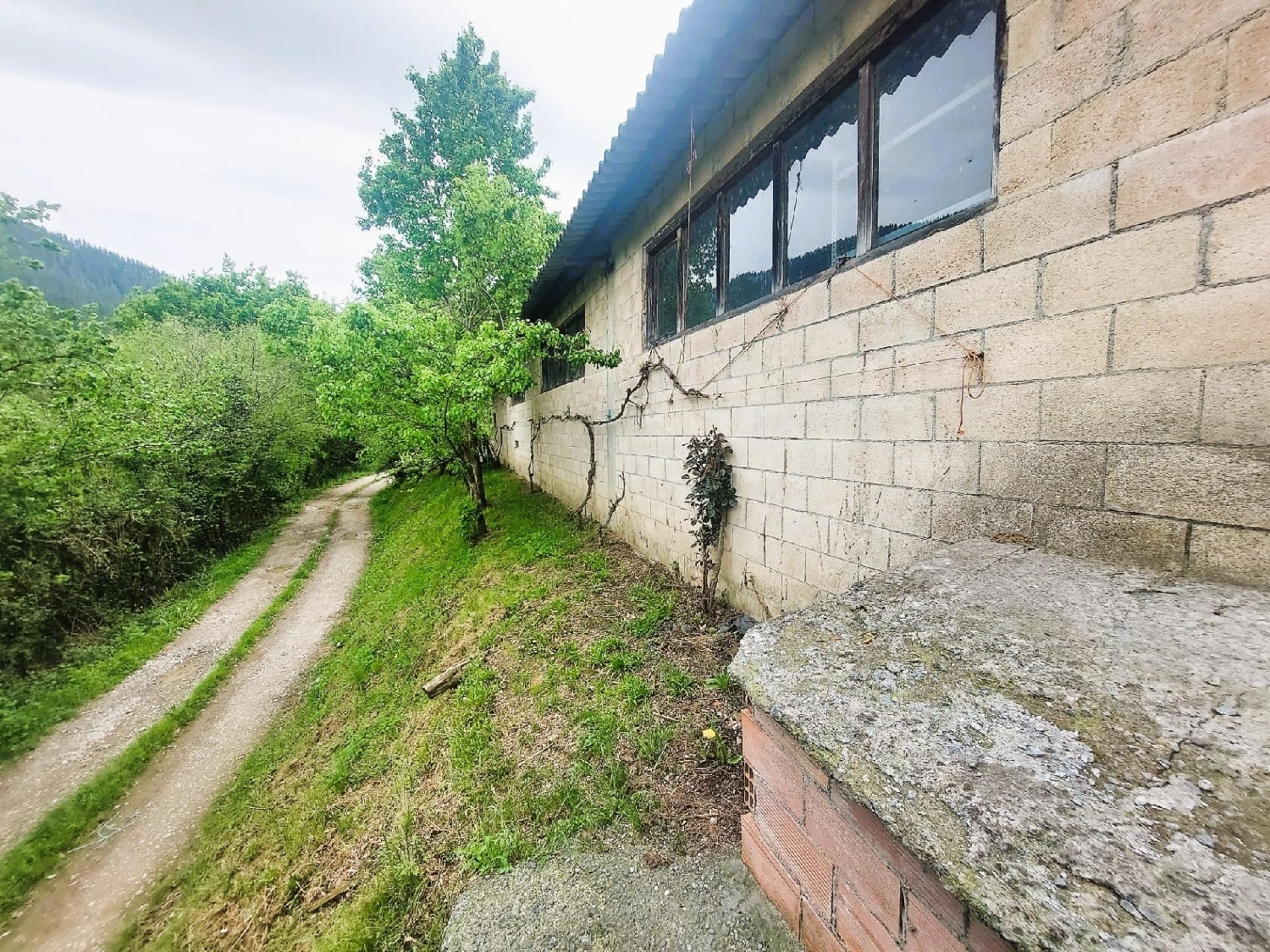  till salu butik Gordexola Encartaciones 7