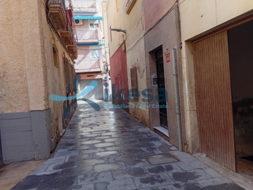 Palmeria Marina Alta förråd foto 6347025