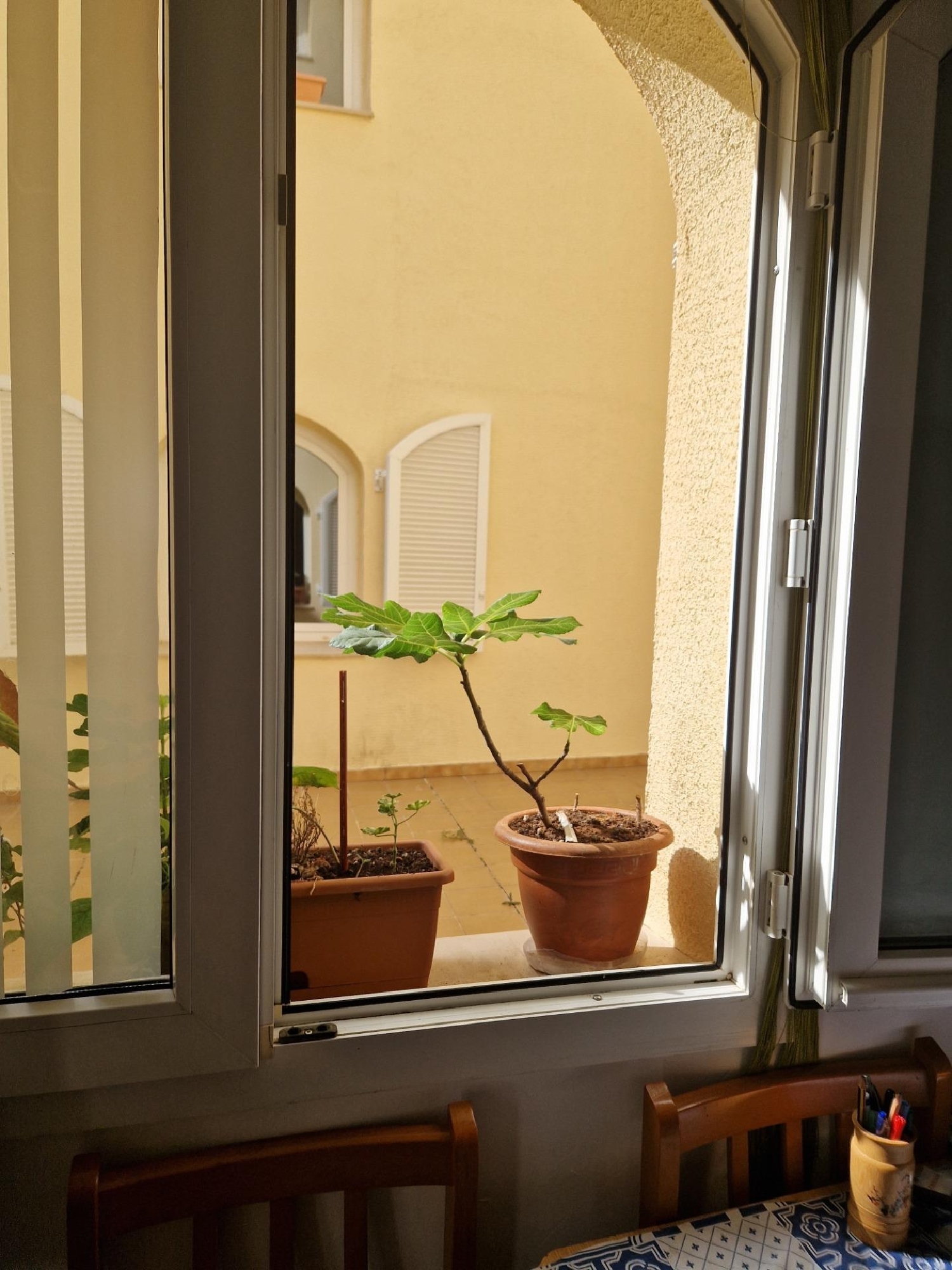  te koop studio Monte Arzúa 3