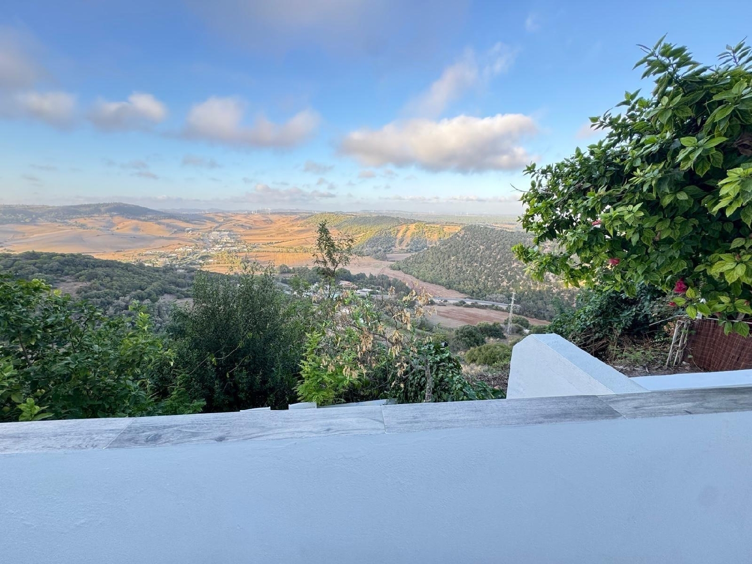  à vendre studio Vejer De La Frontera Janda (La) 1