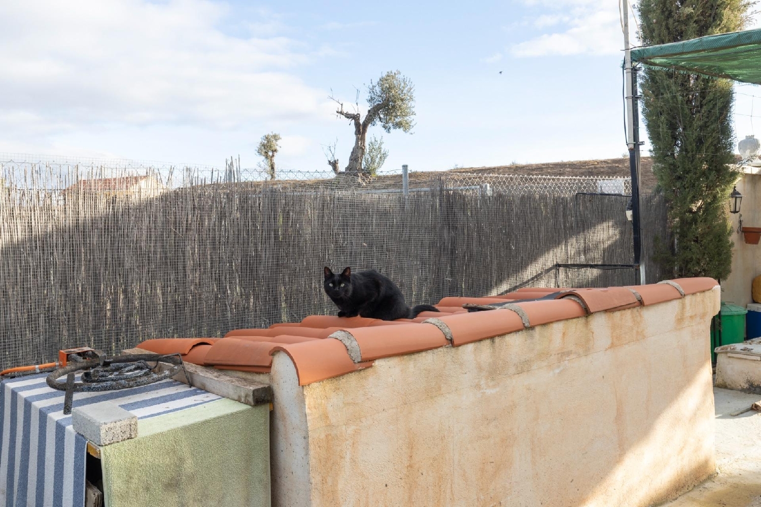  kaufen Reihenhaus Chimeneas Alhama 8