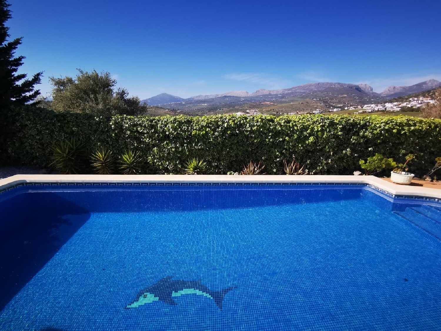  en venta chalet Alcaucín Axarquía 8