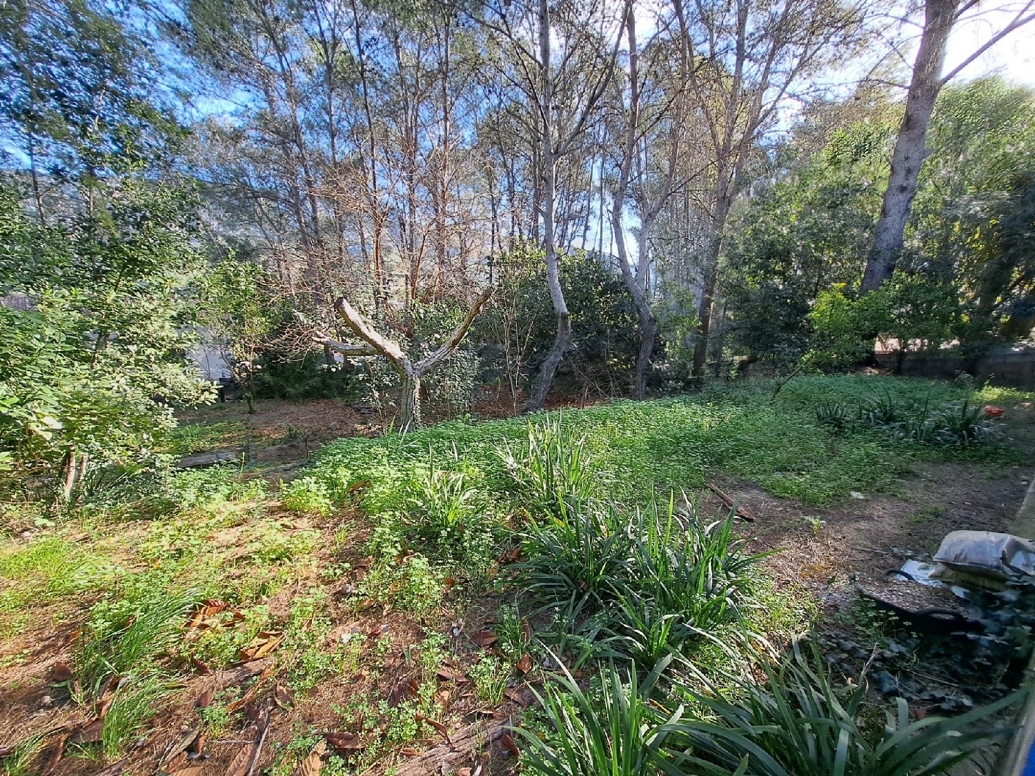 à vendre villa Alzira Ribera Alta 7