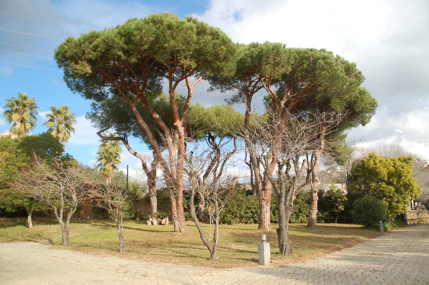  en venta chalet Arenys De Munt Maresme 8