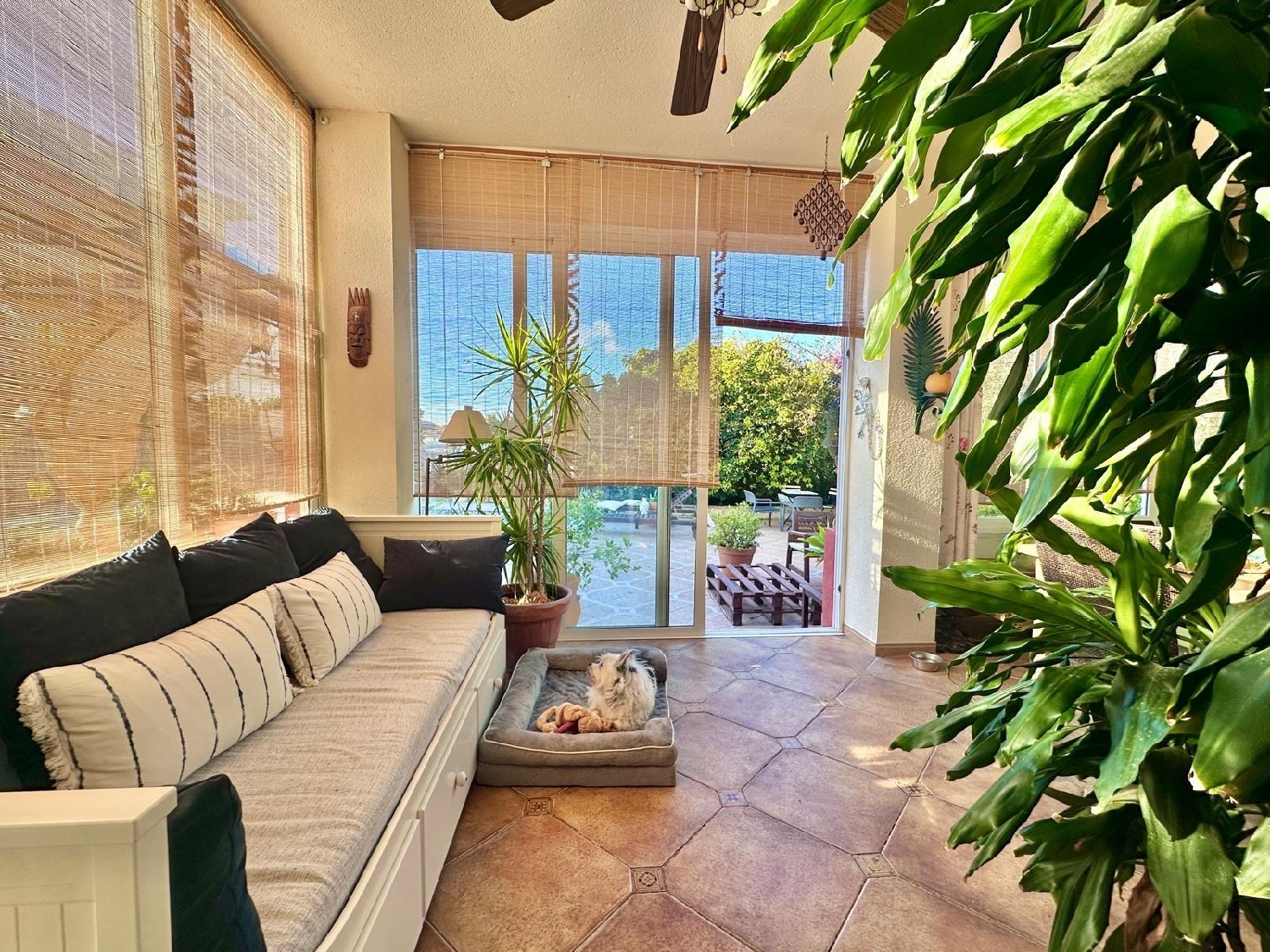  à vendre villa Aspe Vinalopó Mitjà 3