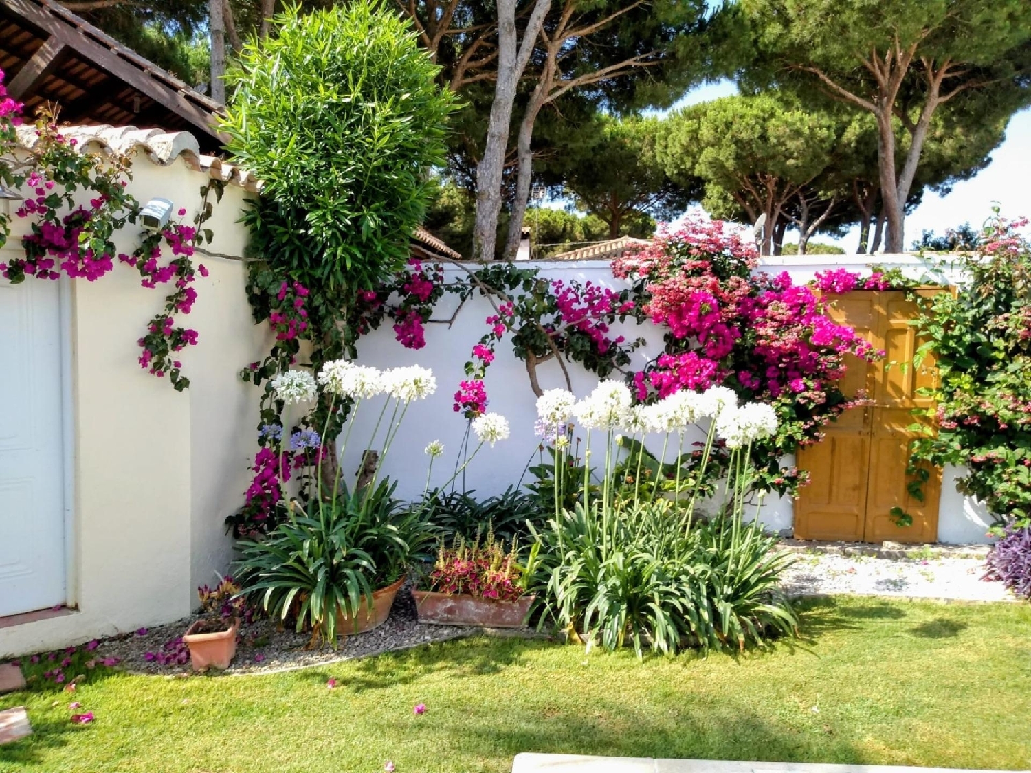 à vendre villa Chiclana De La Frontera Bahía De Cádiz 5