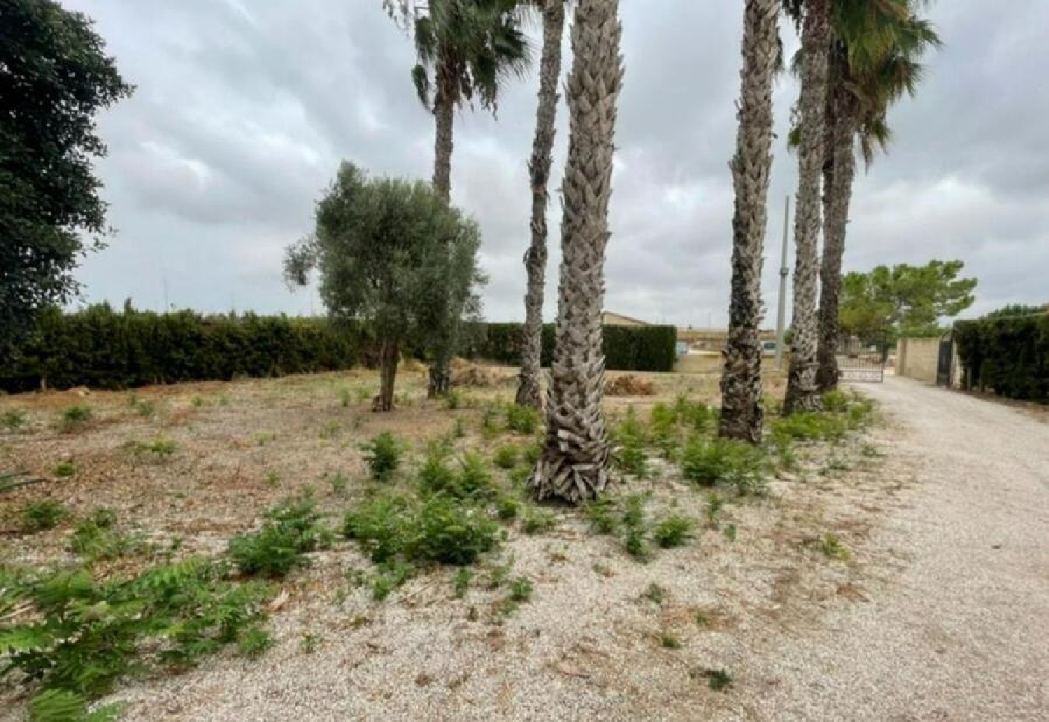  kaufen Villa Daya Vieja Baix Segura 2