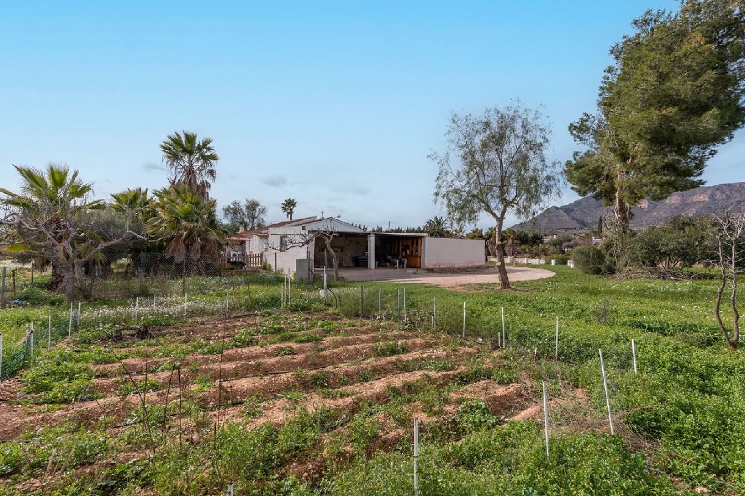  à vendre villa Hondón De Las Nieves Vinalopó Mitjà 4