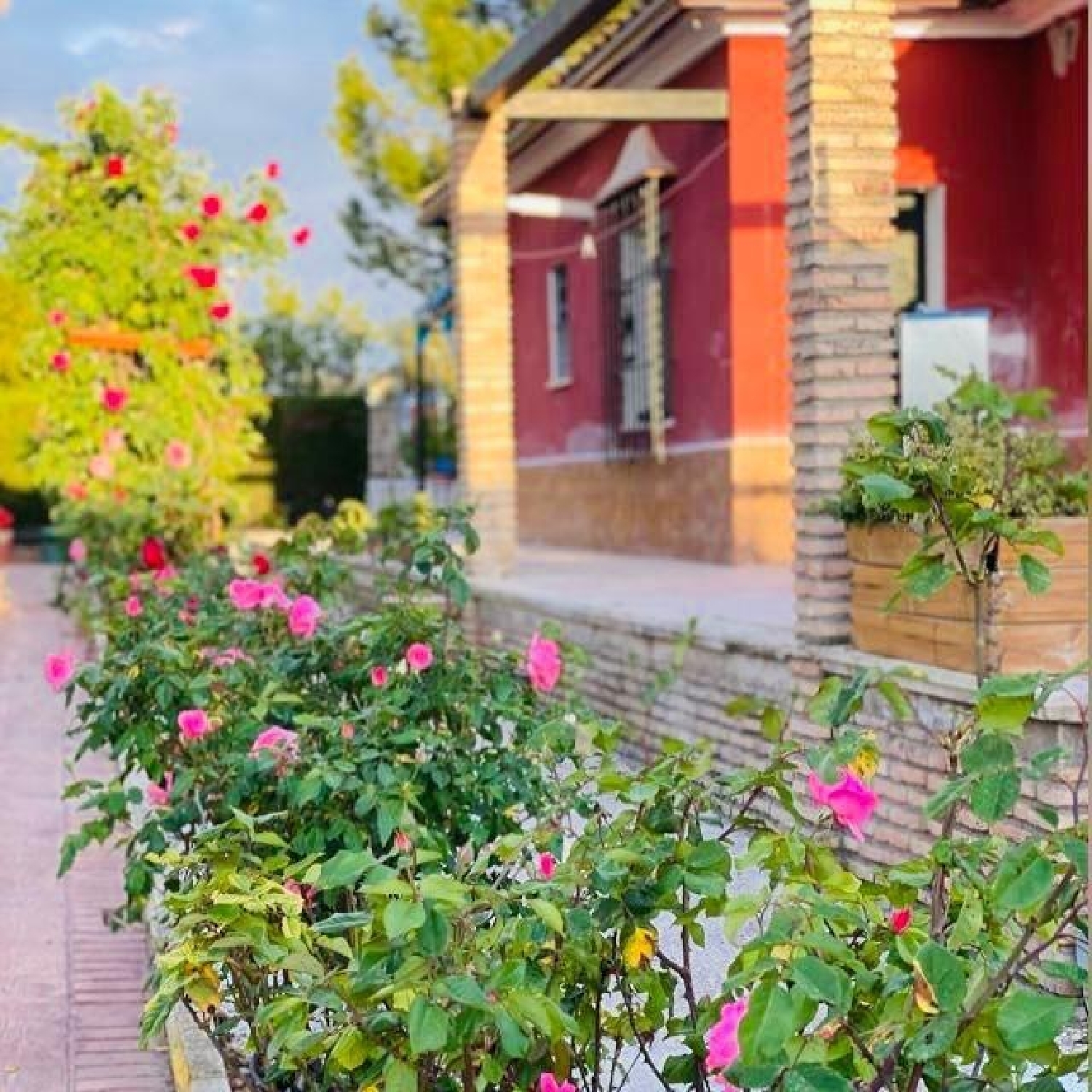 till salu villa La Carlota Valle Medio Del Guadalquivir 8