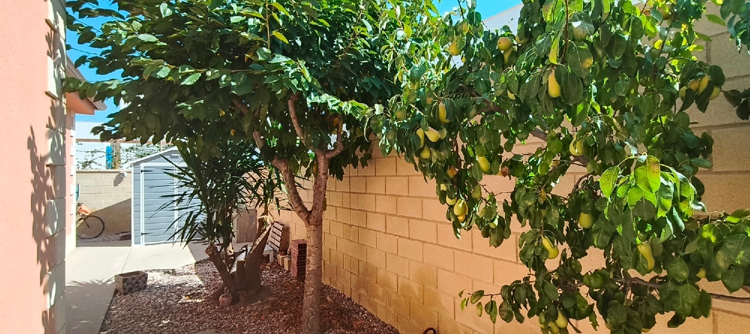  à vendre villa La Romana Vinalopó Mitjà 5