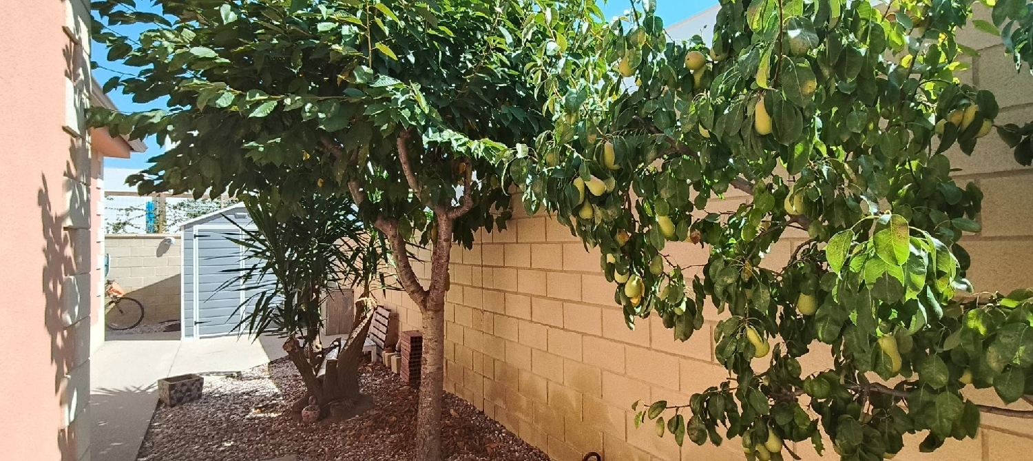  till salu villa La Romana Vinalopó Mitjà 6