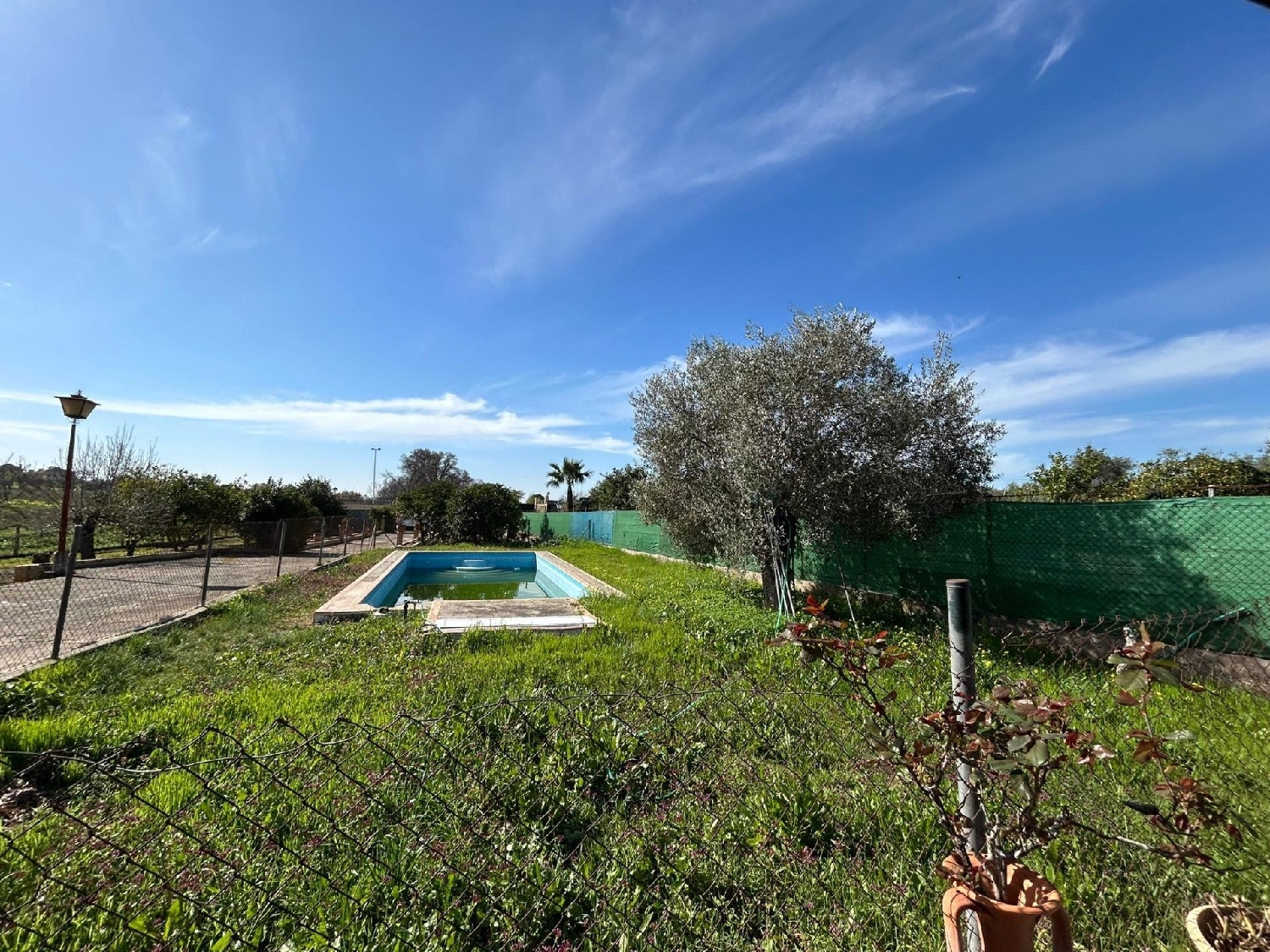 à vendre villa Mairena Del Aljarafe Metropolitana De Sevilla 6