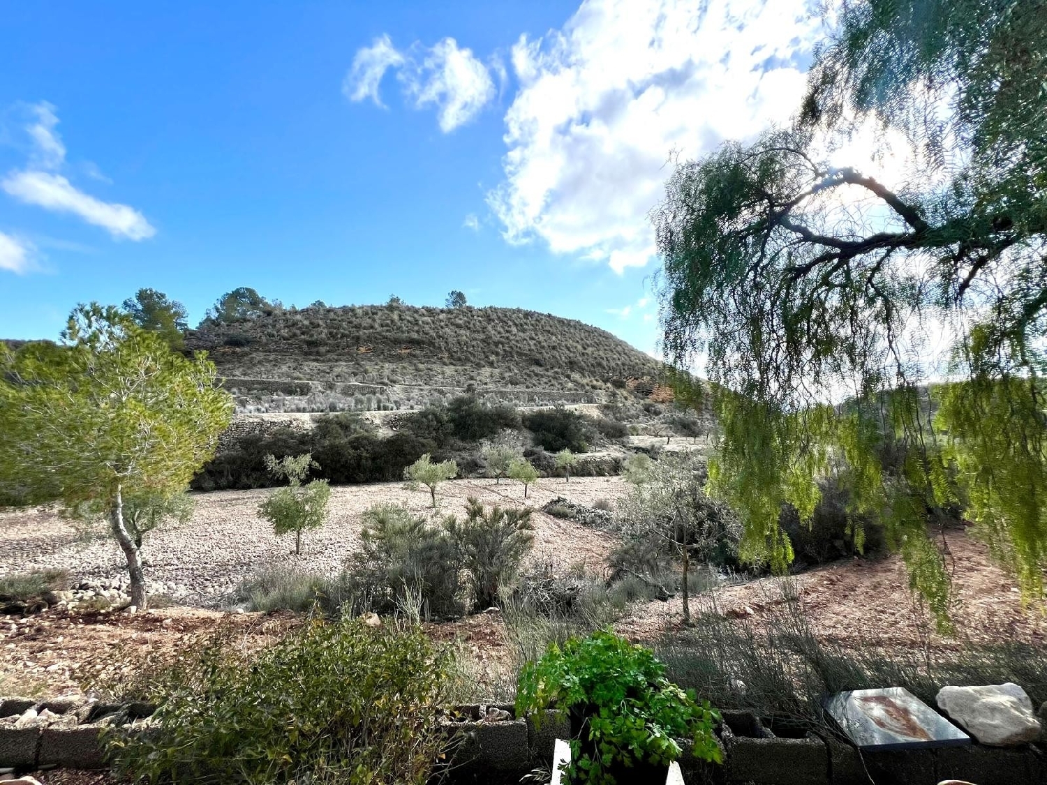  kaufen Villa Monóvar Vinalopó Mitjà 4