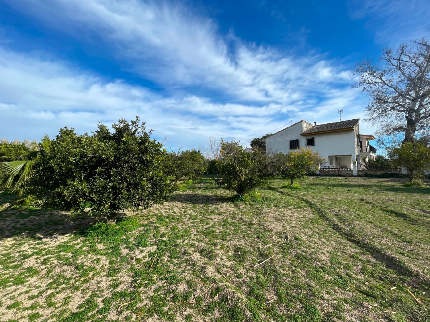  en venta chalet Orihuela Baix Segura 2