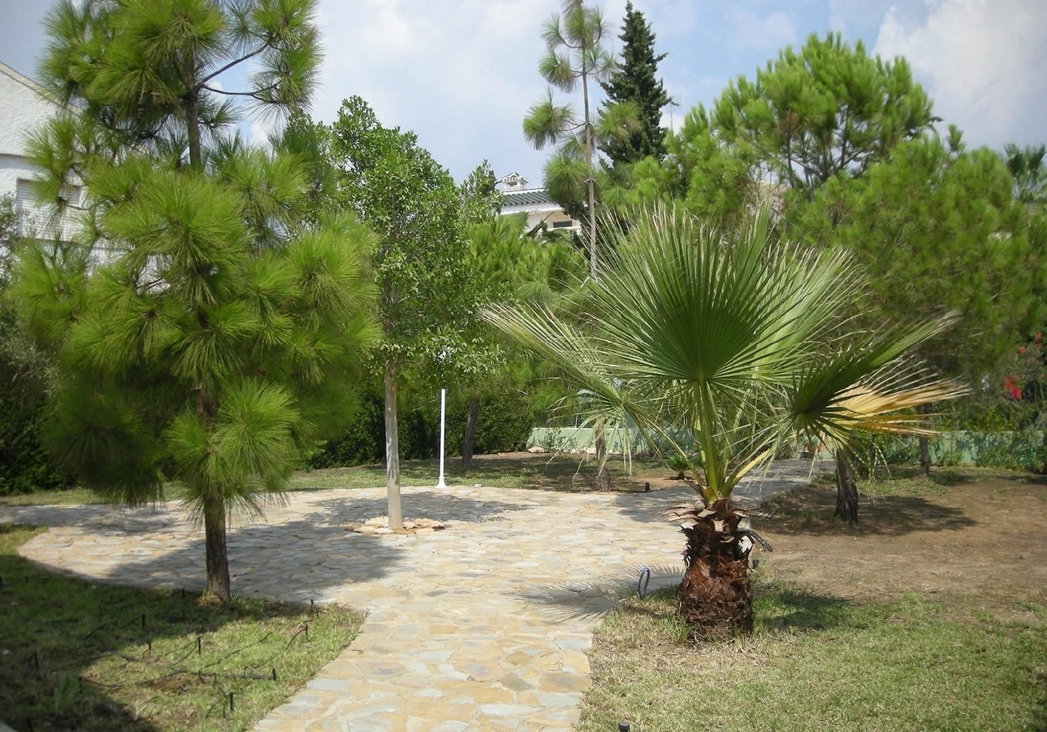  à vendre villa Orihuela Costa Baix Segura 5