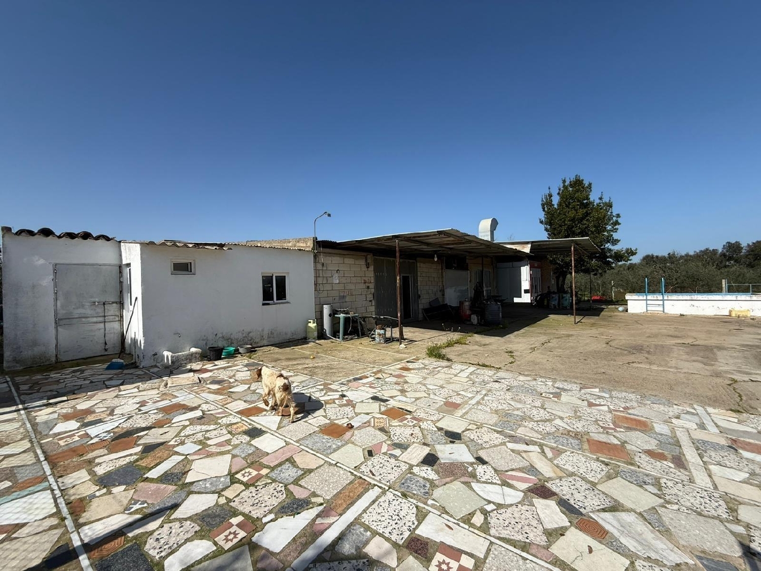 kaufen Villa Pilas Aljarafe 6