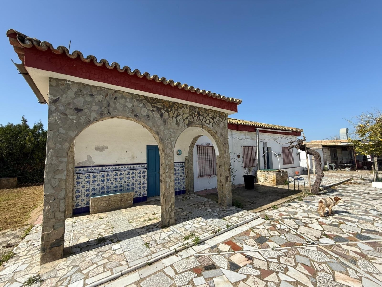 kaufen Villa Pilas Aljarafe 2