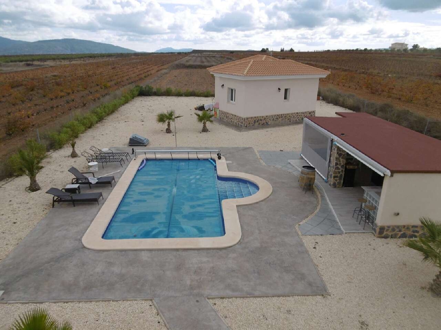  for sale villa Pinoso Vinalopó Mitjà 30