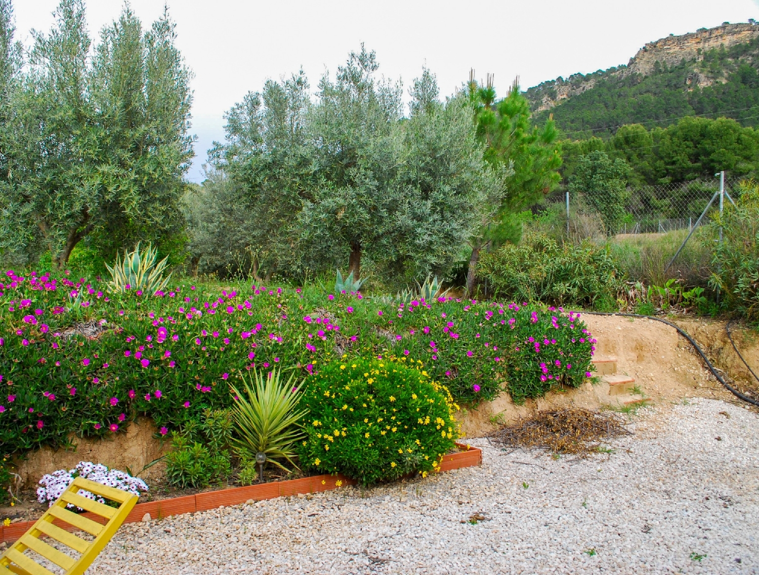  kaufen Villa Pliego Río Mula 8