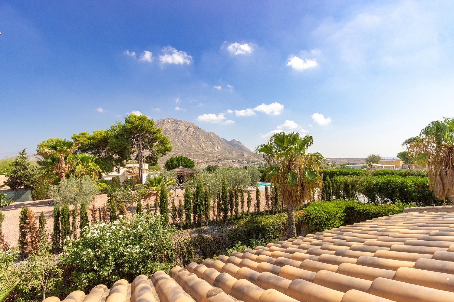  à vendre villa Rebolledo Alacantí 5