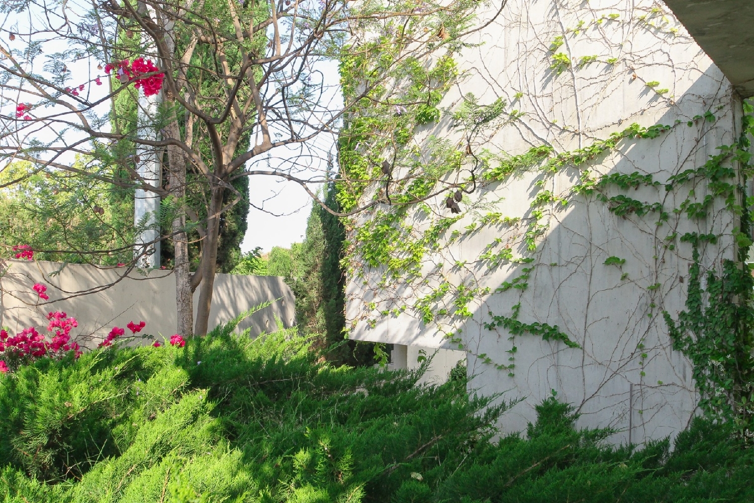  for sale villa San Vicente Del Raspeig Alacantí 6