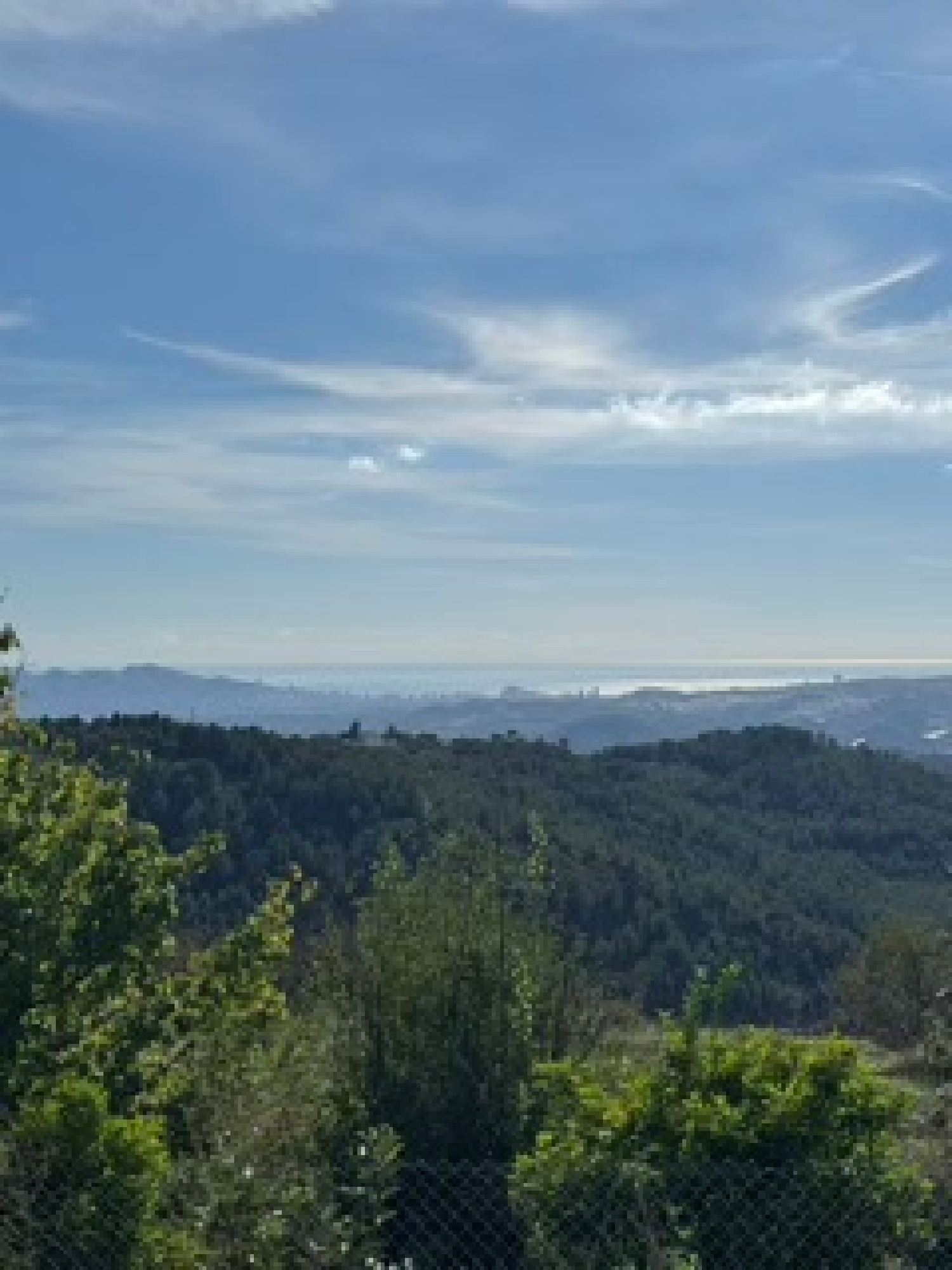  kaufen Villa Tárbena Marina Baixa 2