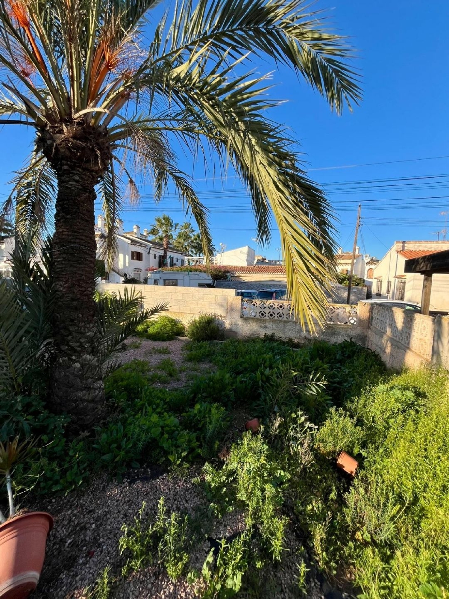  à vendre villa Torrevieja Baix Segura 8