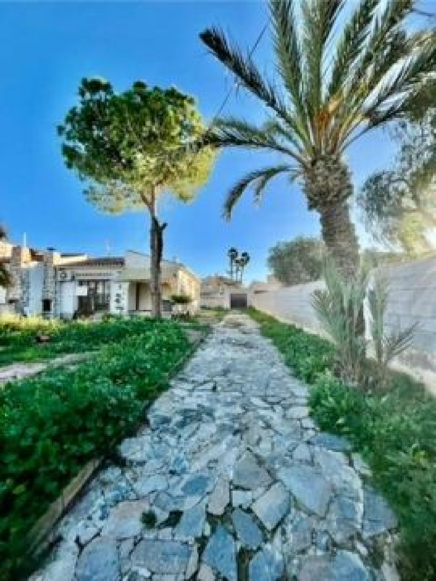  à vendre villa Torrevieja Baix Segura 3