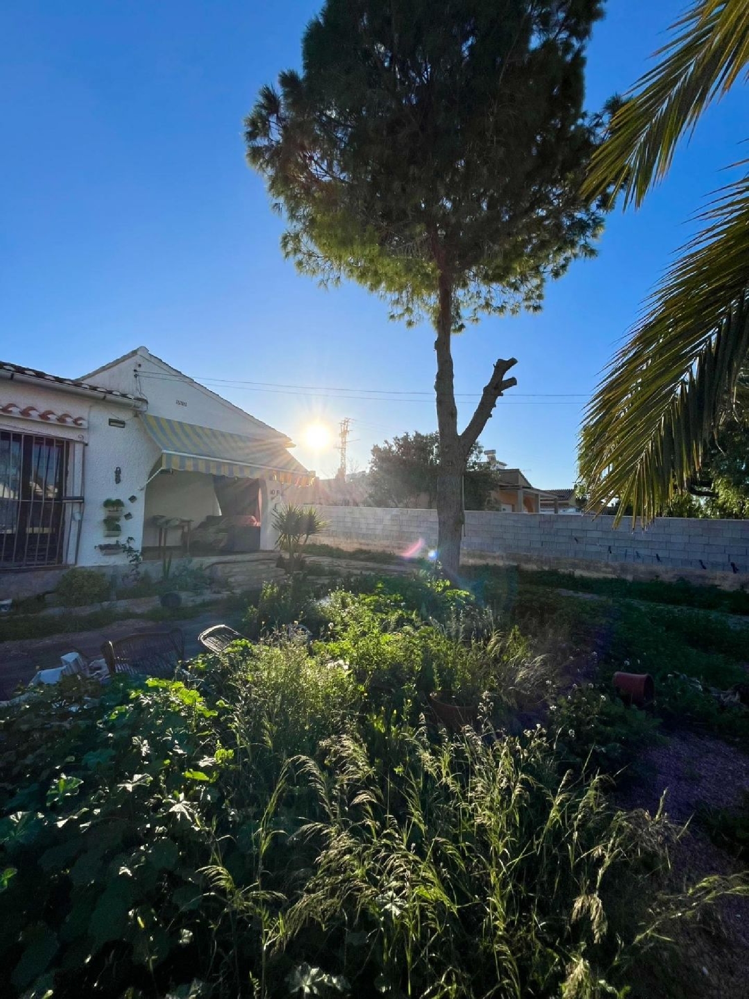  à vendre villa Torrevieja Baix Segura 6