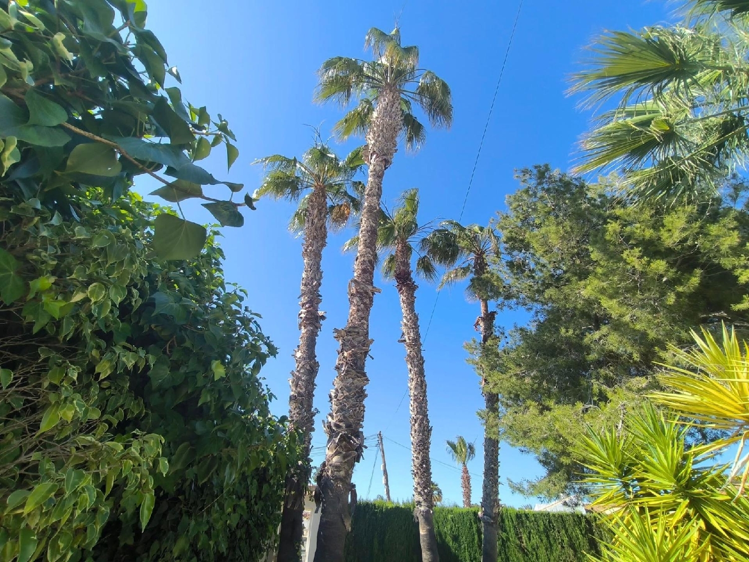  en venta chalet Torrevieja Baix Segura 7