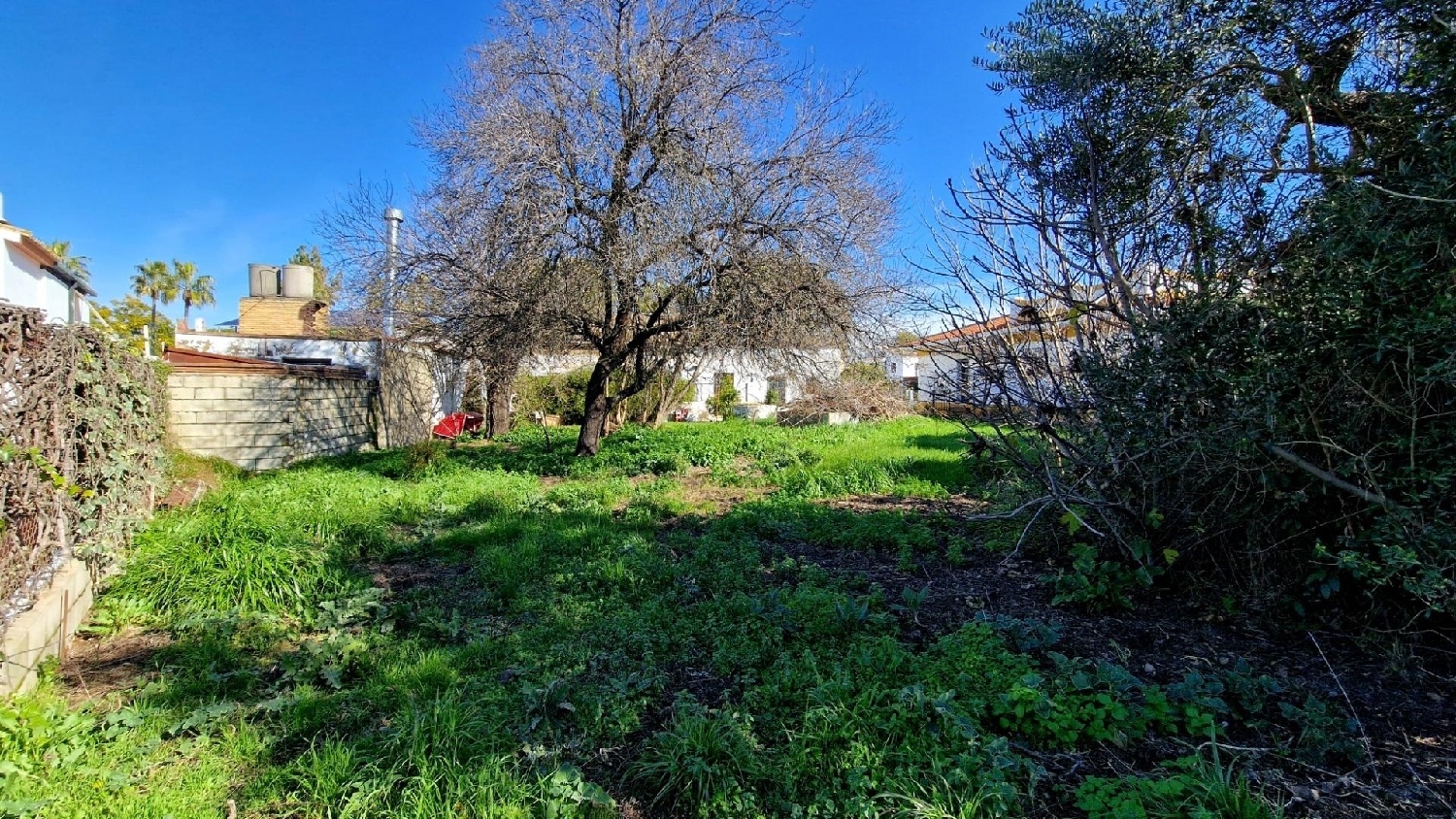  kaufen Villa Valencina De La Concepción Metropolitana De Sevilla 8