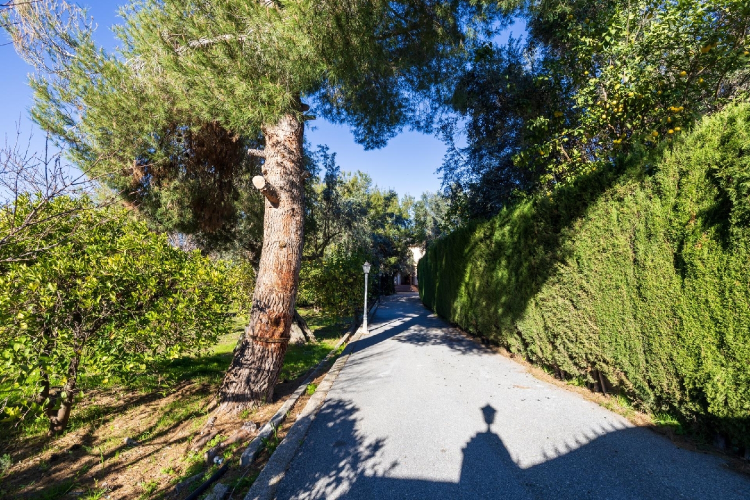 te koop villa Valle Coruña 4