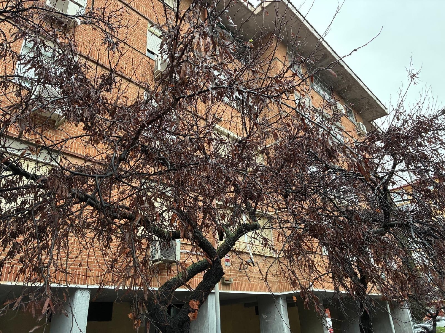 te koop appartement Alcalá De Henares 28801 Cuenca Del Henares 3