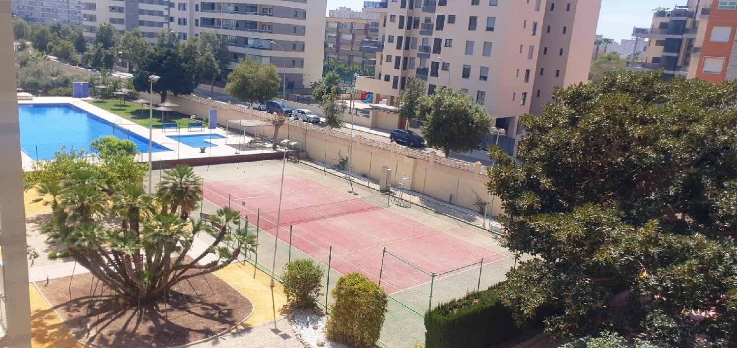  en venta apartamento Alicante Centro 03001 Alacantí 2