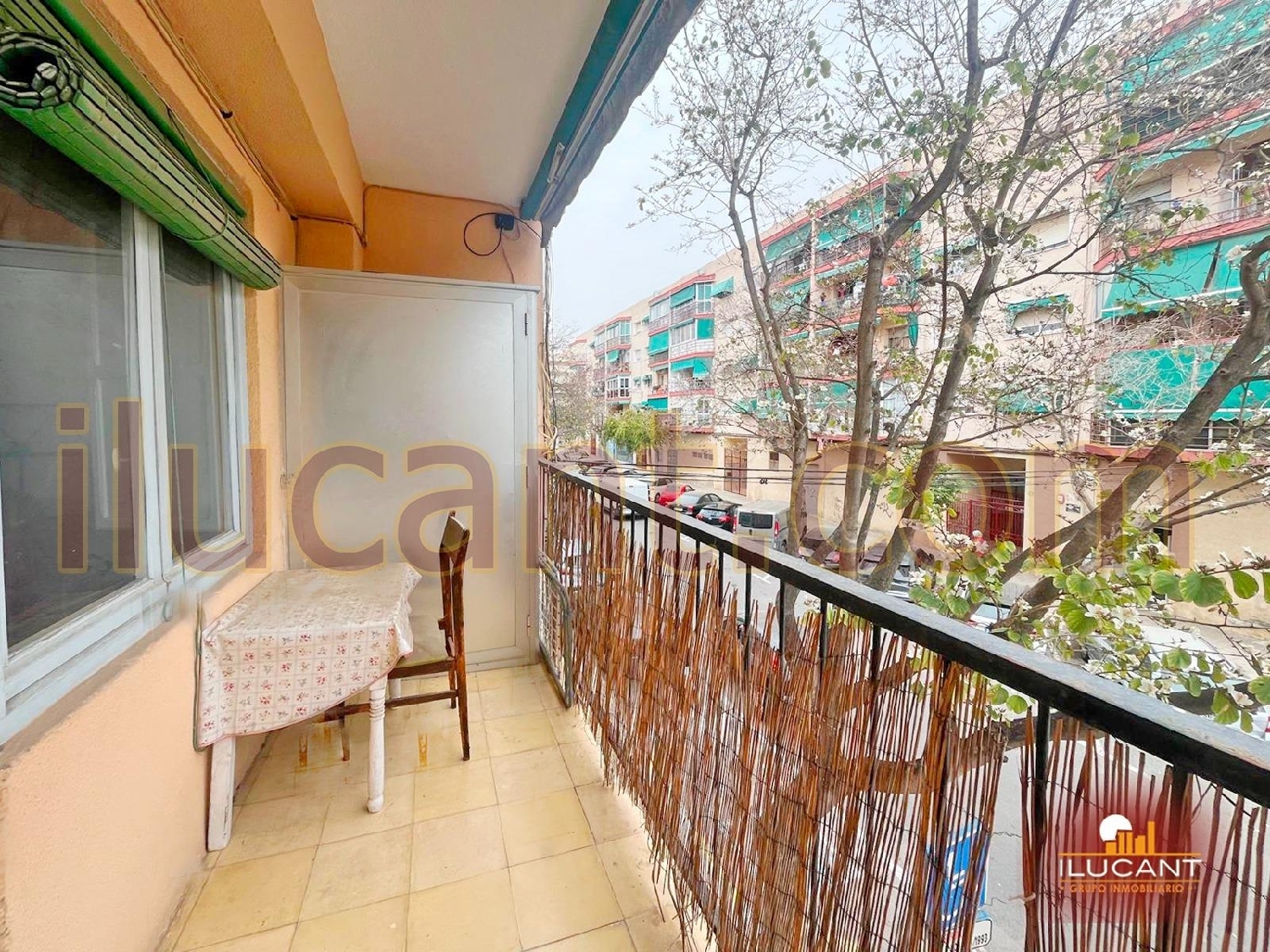  te koop appartement Alicante Centro 03001 Alacantí 2