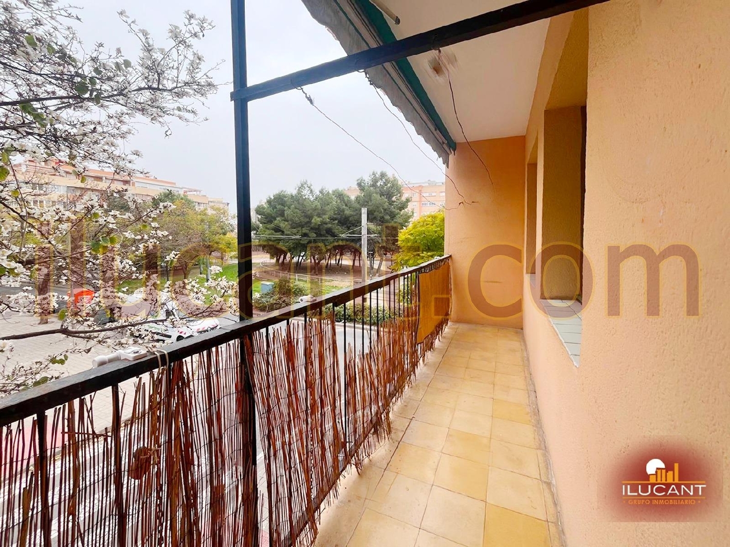  te koop appartement Alicante Centro 03001 Alacantí 3