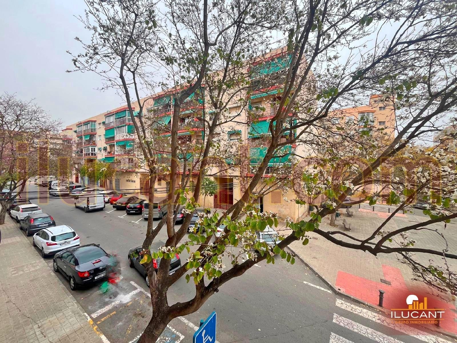  te koop appartement Alicante Centro 03001 Alacantí 1