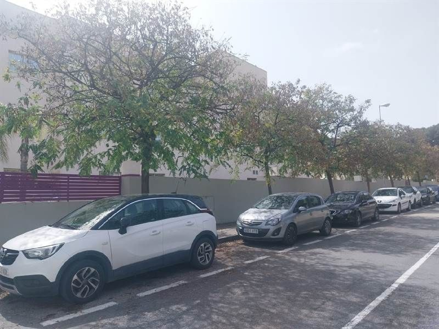 kaufen Wohnung Alicante Centro 03001 Alacantí 1