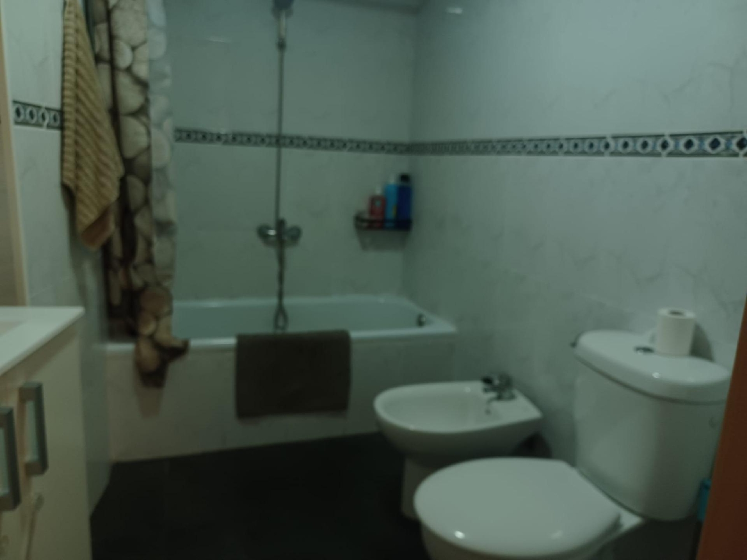  te koop appartement Barriada Les Tres Creus Bages 7