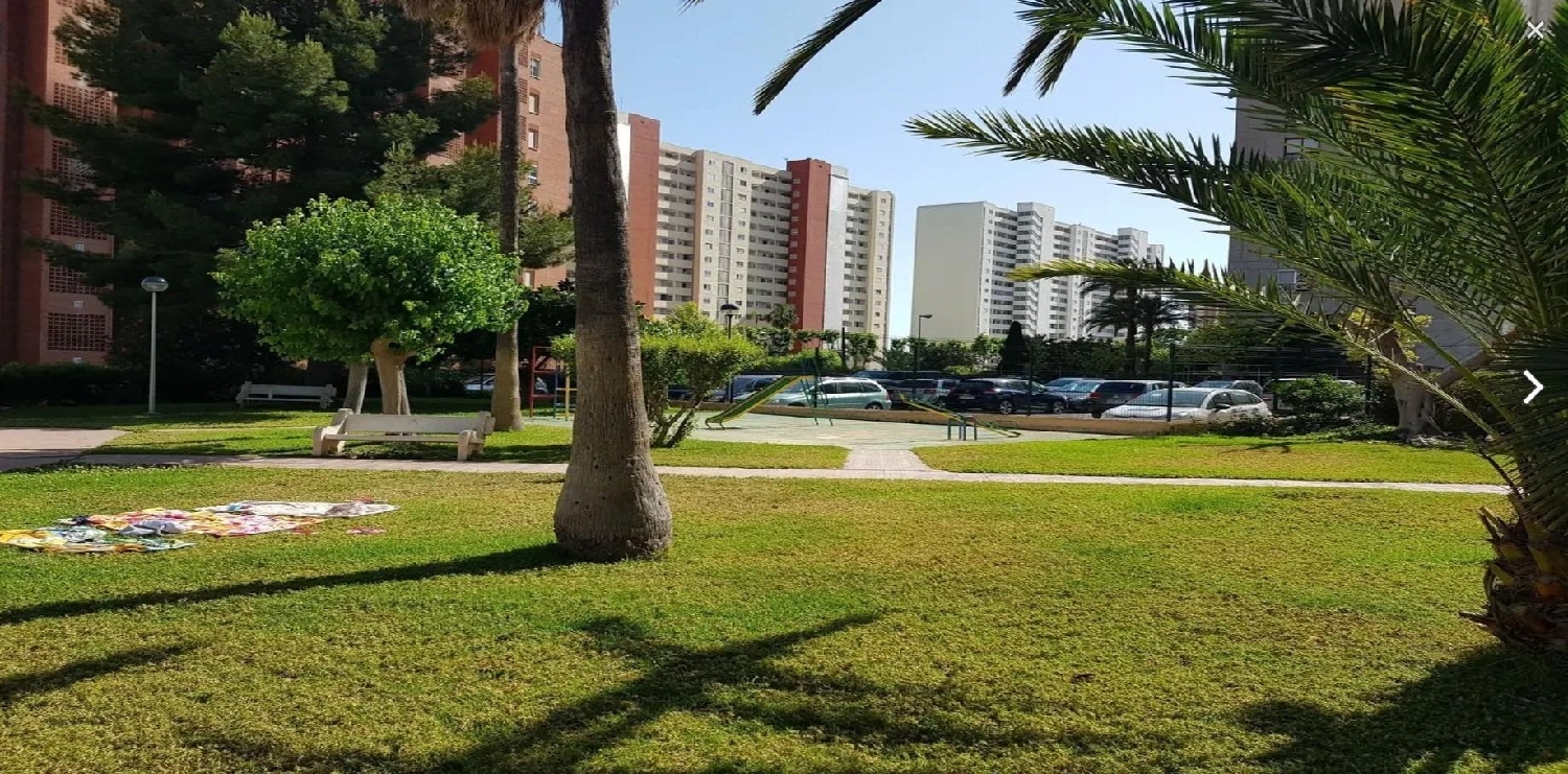  kaufen Wohnung Benidorm (Centro) Marina Baixa 5