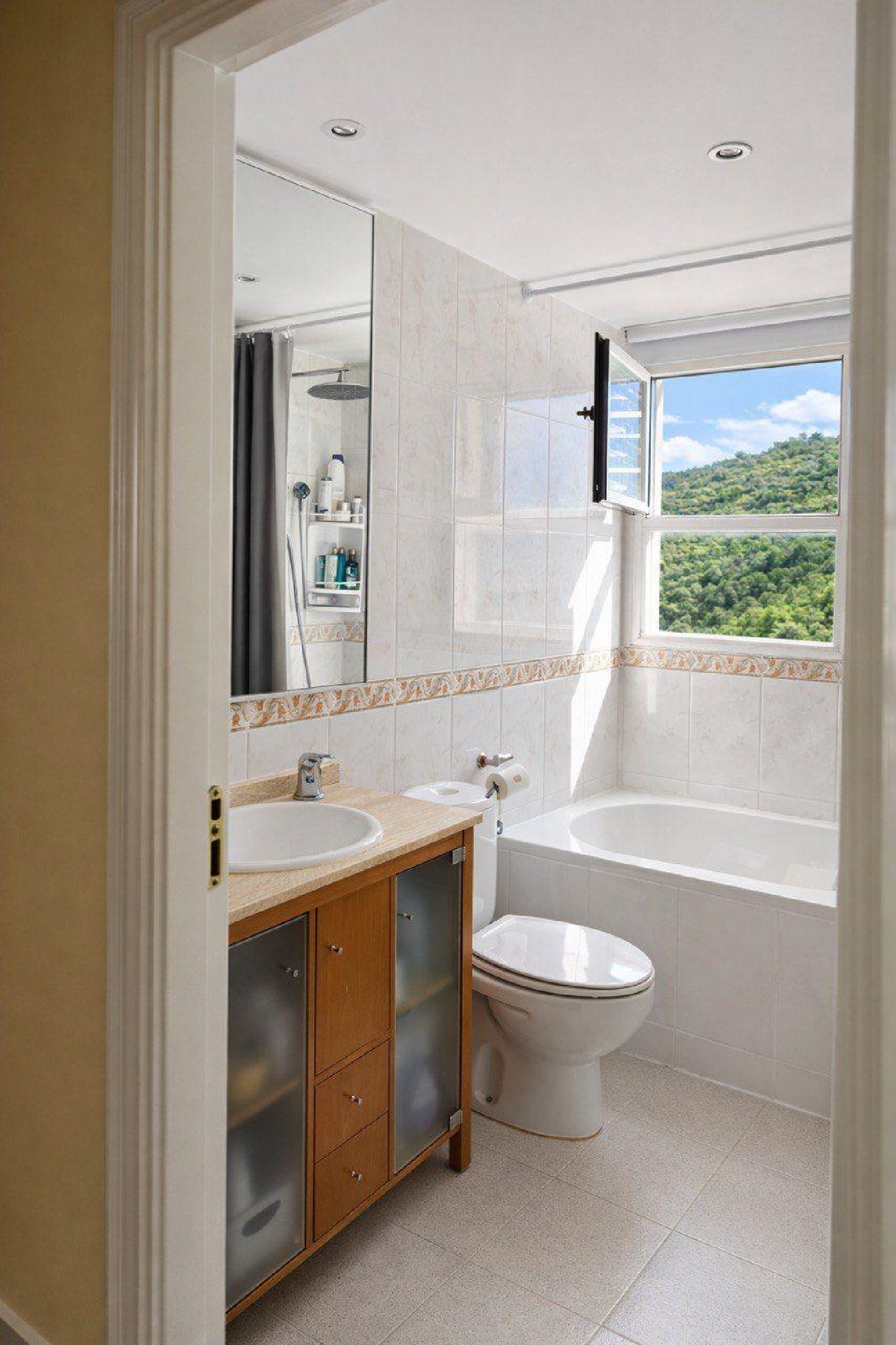  kaufen Wohnung Benidorm (Centro) Marina Baixa 8