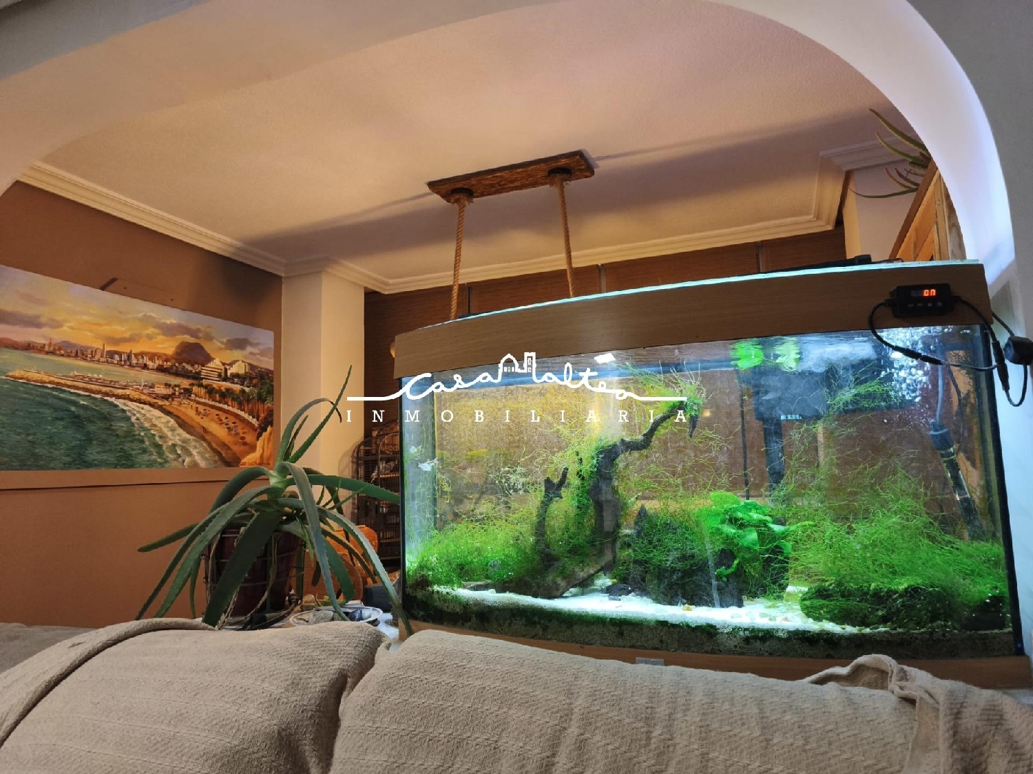  kaufen Wohnung Benidorm (Centro) Marina Baixa 4