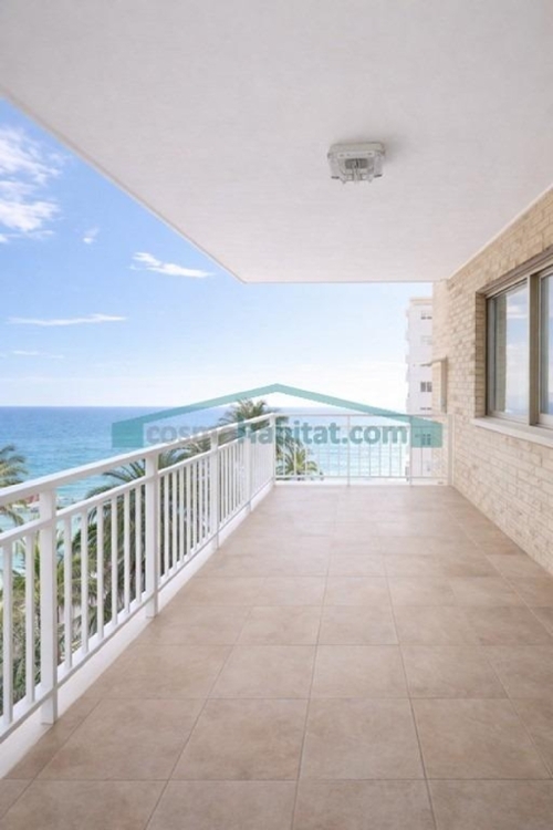 Benidorm (Centro) Marina Baixa appartement foto 6356763