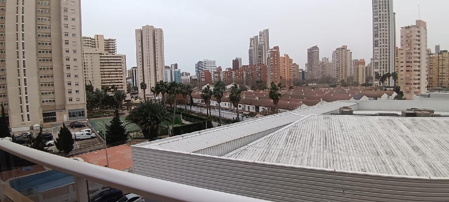  te koop appartement Benidorm (Centro) Marina Baixa 6