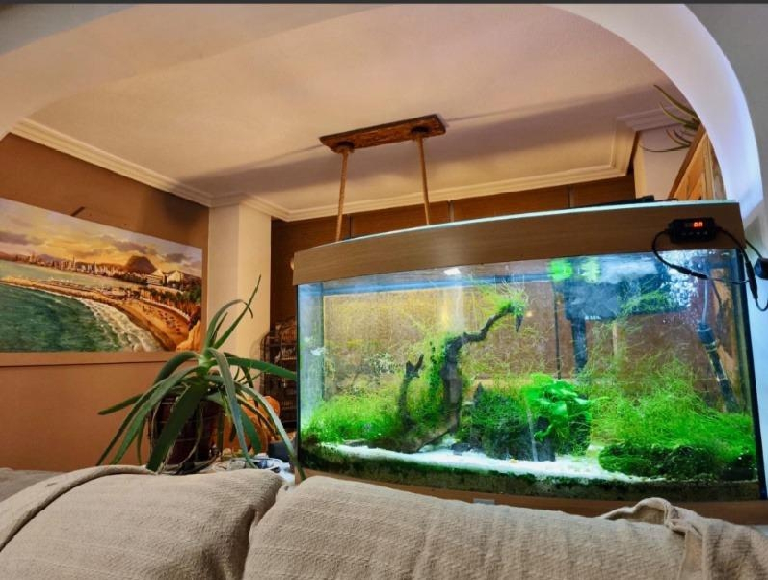  for sale apartment Benidorm (Centro) Marina Baixa 8