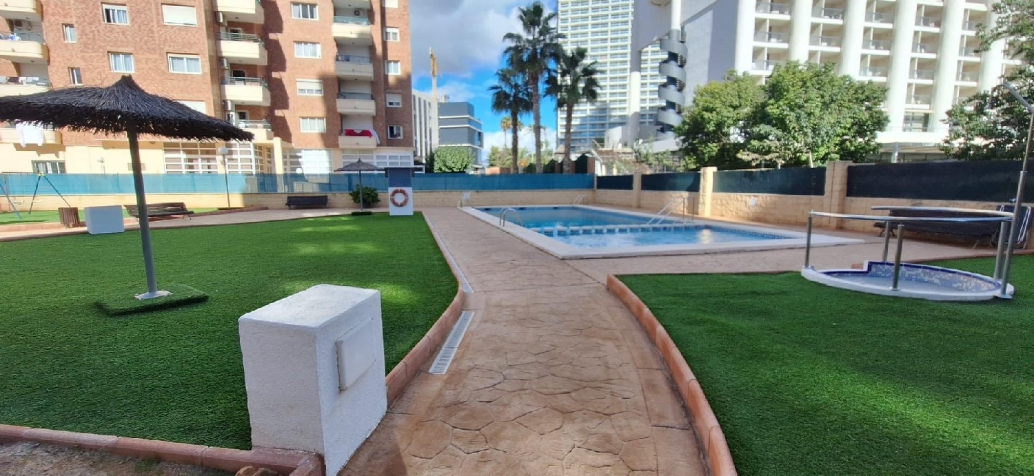  for sale apartment Benidorm (Centro) Marina Baixa 2