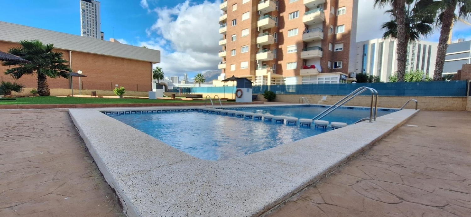  for sale apartment Benidorm (Centro) Marina Baixa 3